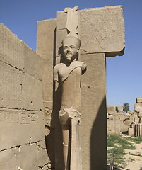 Image showing statue around Precinct of Amun-Re