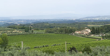 Image showing Chianti in Tuscany