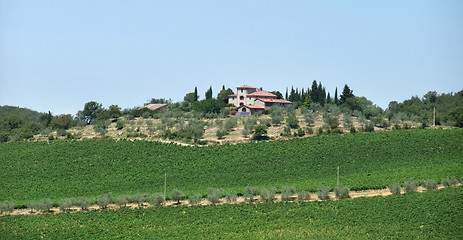 Image showing Chianti in Tuscany