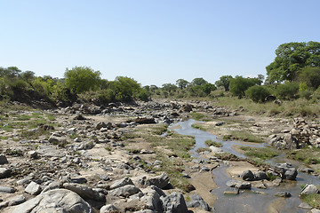 Image showing Tarangire River with lots of stones