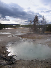 Image showing Yellowstone National Park