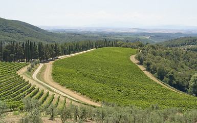 Image showing Chianti in Tuscany