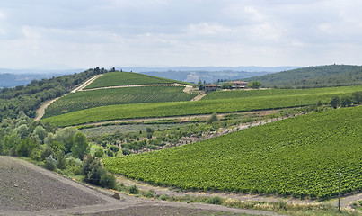 Image showing Chianti in Tuscany