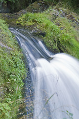 Image showing Triberg Waterfalls detail