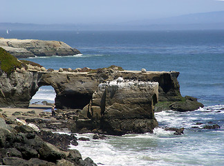 Image showing Natural Bridges in Santa Cruz, CA