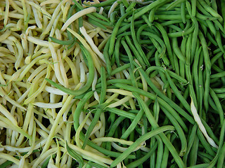 Image showing Background of string beans