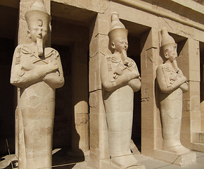 Image showing Hatschepsut sculptures made of stone