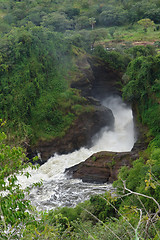 Image showing Murchison Falls in Uganda