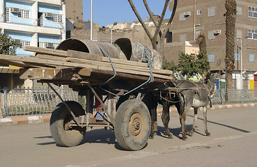 Image showing donkey cart in Egypt