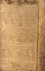 Image showing reliefs at theTemple of Edfu in Egypt