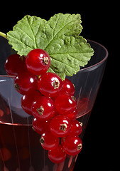 Image showing Redcurrant on glass