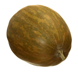 Image showing butternut pumpkin