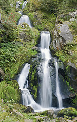 Image showing idyllic Triberg Waterfalls