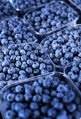 Image showing Blueberries