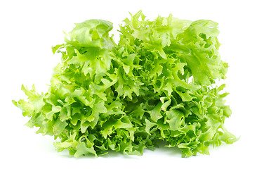 Image showing Salad leaves