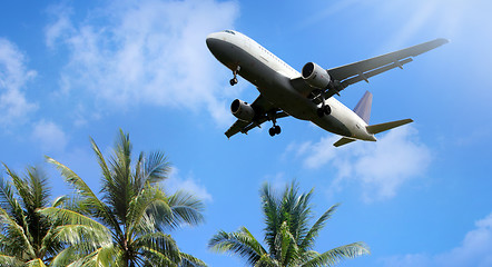 Image showing Airliner landing