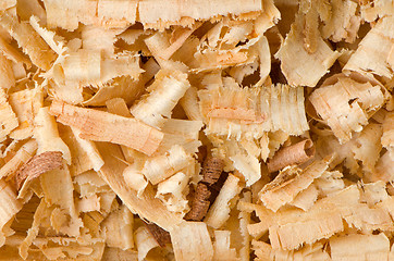 Image showing Wood shavings