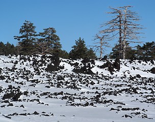 Image showing Lava field covered with snow  on Etna volcano, Sicily