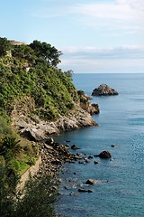 Image showing Sea coast with rocks 