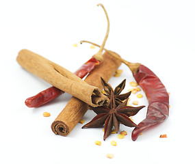 Image showing Cinnamon, chili pepper and anise