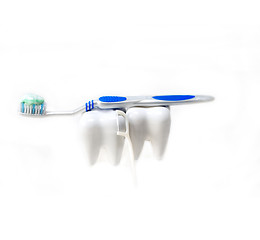 Image showing two teeth and brush isolated on white