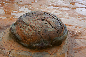 Image showing Yehliu Geopark Taiwan