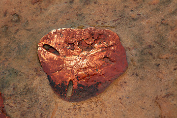 Image showing Yehliu Geopark Taiwan