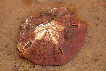 Image showing Yehliu Geopark Taiwan