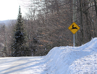 Image showing deer road sign