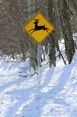 Image showing deer road sign