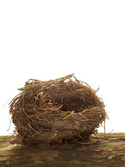 Image showing Birds Nest