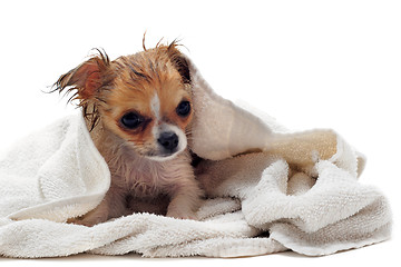 Image showing after bath