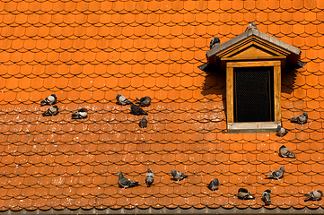 Image showing Prague's red roof
