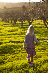 Image showing Little girl outdoors