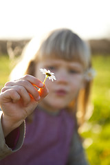 Image showing Little girl outdoors