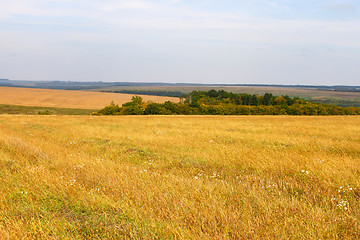 Image showing Rural autumn landscape