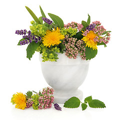 Image showing Healing Herbs and Flowers