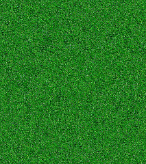 Image showing Artificial Grass