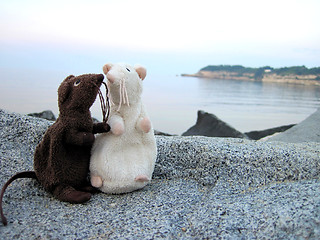 Image showing two mouse toys on beach 