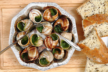 Image showing snails - french gourmet food