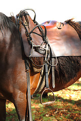 Image showing horse saddle