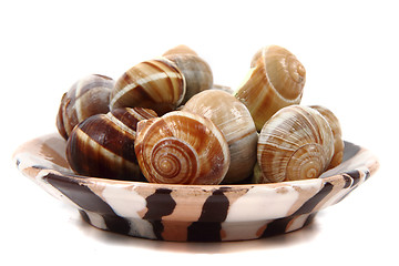 Image showing snails - french gourmet food