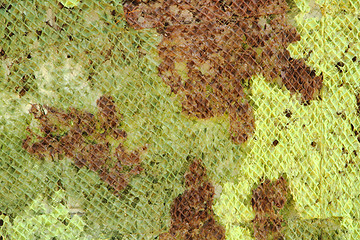 Image showing army camouflage background