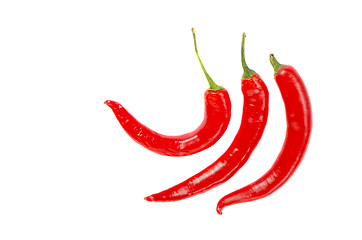 Image showing Three thin elongated hot red chili pepper isolated 