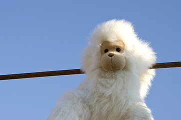 Image showing Bushy white plush monkey doll on background of sky 