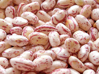 Image showing Beans salad