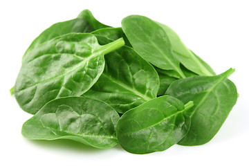 Image showing Fresh spinach salad