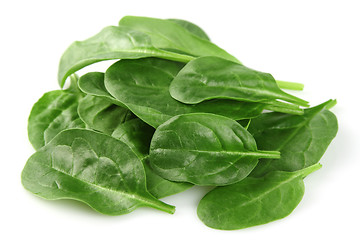 Image showing Spinach in closeup