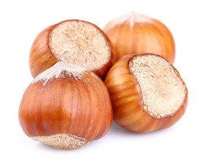 Image showing Dried hazelnuts