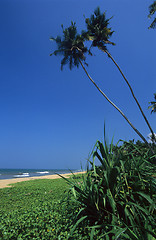 Image showing Kalutara  beach Sri Lanka